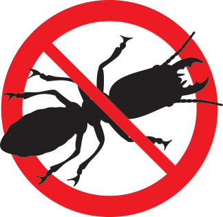 Most Active Pests in Autumn Months