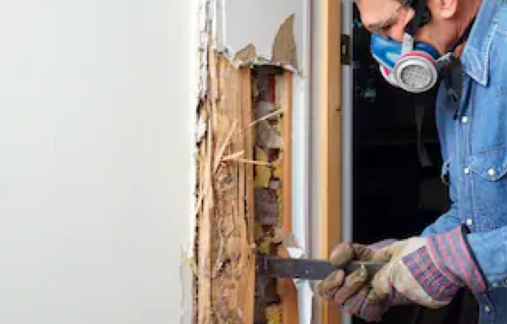 termite treatment in melbourne