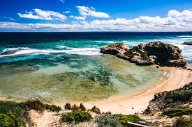 Pest Control Mornington Peninsula