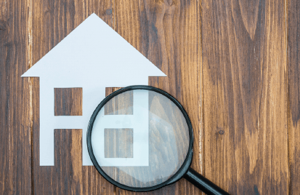 6 Signs of Pest Infestations to Look for When House Hunting