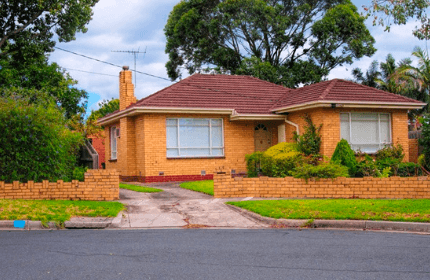 How to Protect your Home From Pest Invasions this Winter