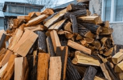 Are Your Gardening Habits Sabotaging Your Pest Prevention Strategy?