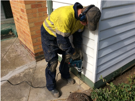 Termite Treatment in Maribyrnong
