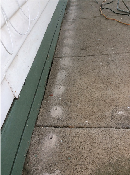 Dawsons Australia Termite treatment