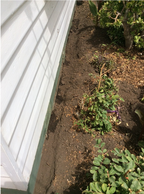 Dawsons Australia Termite treatment