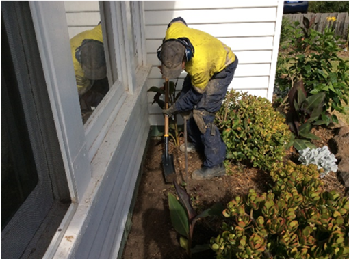 Dawsons Australia Termite treatment