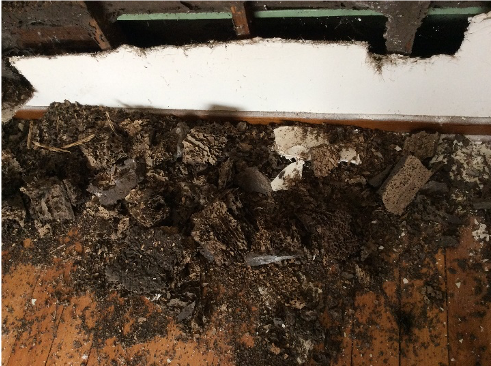 Dawsons Australia Termite treatment