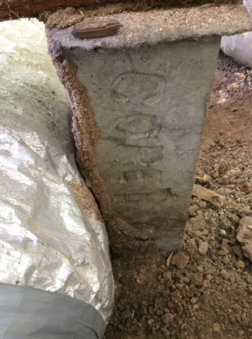 Termite tunnels in Toorak