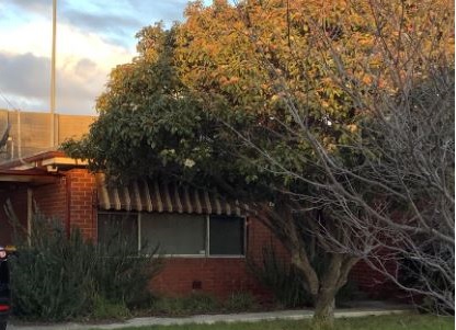 Rodent Control Laverton