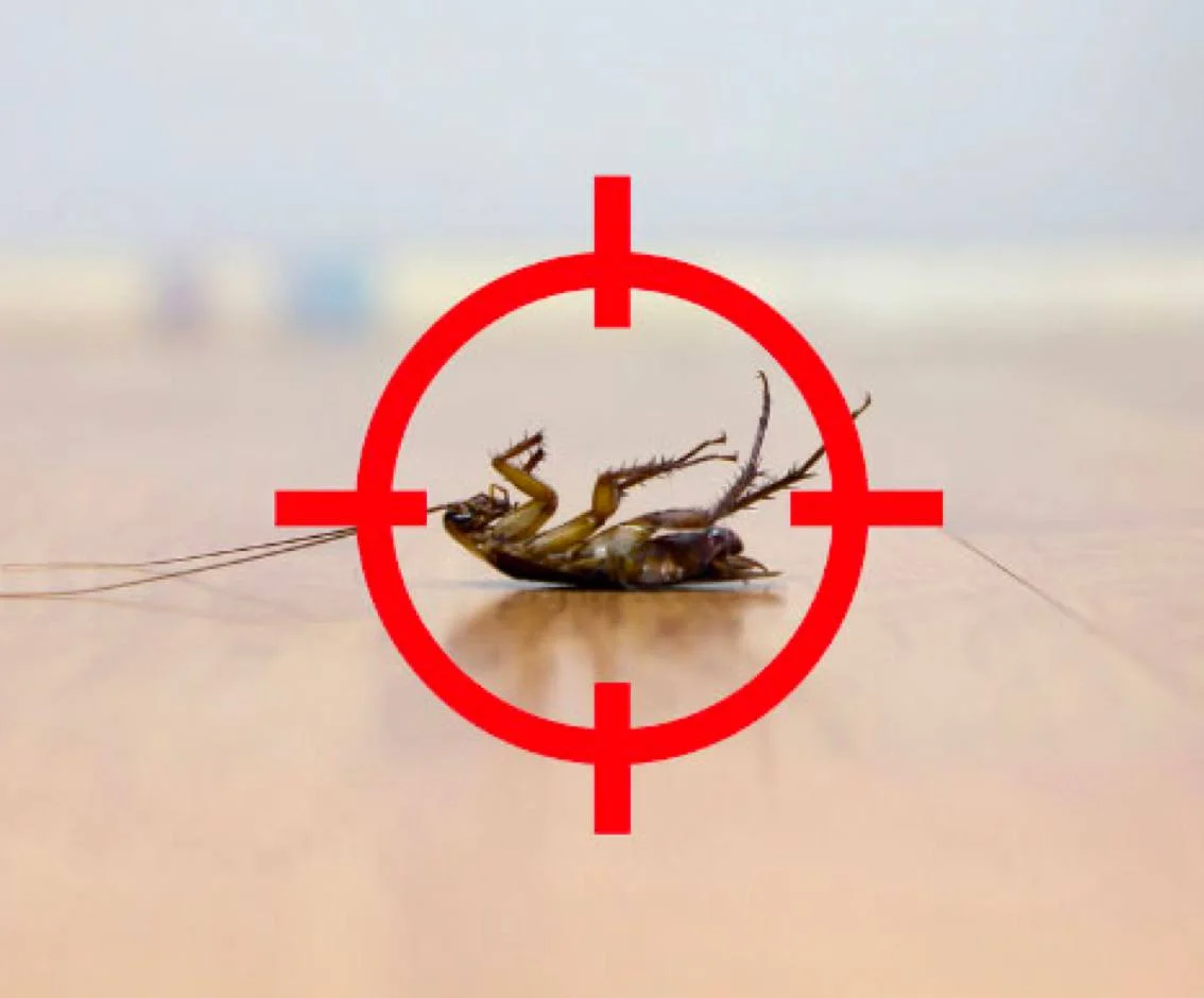 Pest Control Melbourne - Dawson's